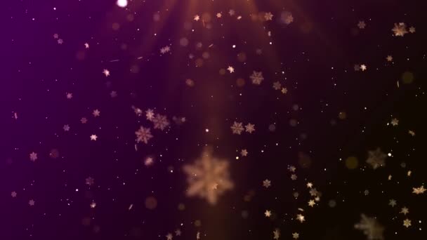 Abstrakte Weihnachten Winter Schneeflocke Festlich Falling Sparkle Schneeflocken Hintergrund Feiertage — Stockvideo