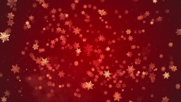 雪红的圣诞雪白的冬季闪烁着闪亮的设计背景雪花飘落的雪花 天气奇幻的降雪质感装饰 2023 2024 — 图库视频影像