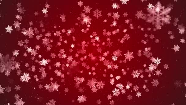 Κόκκινο Λευκό Κομφετί Νιφάδες Χιονιού Bokeh Ανάβει Κόκκινο Φόντο Χριστούγεννα — Αρχείο Βίντεο