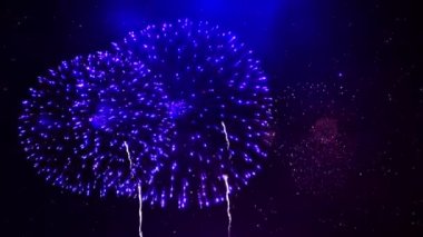 4K Parlayan Havai Fişekler Gece Gökyüzü Döngüsü Animasyon Arkaplanında Bokeh ışıkları ile Patlamayı Göster. Doğum günü, yıldönümü, kutlama, tatil, yeni yıl, parti, davetiye, Noel, festival, selamlama
