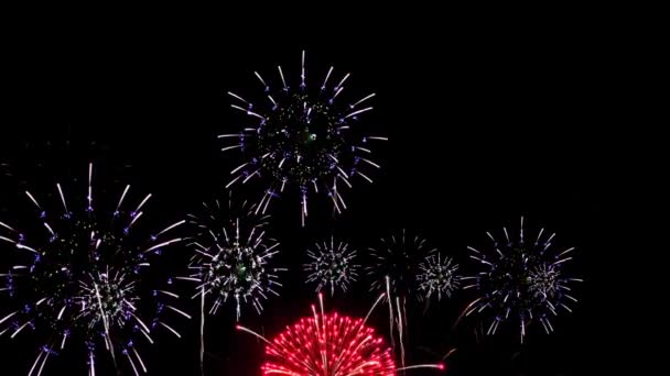 Színes Tűzijátékok Csillognak Hurok Igazi Tűzijáték Háttér Fesztivál Show Esküvő — Stock videók