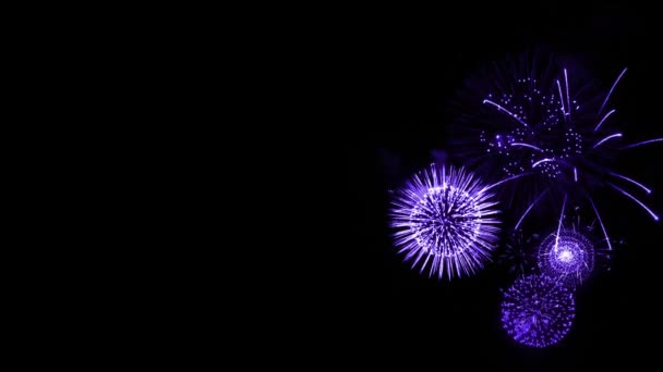Βρόχο Της Πραγματικής Πολύχρωμα Πυροτεχνήματα Φεστιβάλ Στον Ουρανό Οθόνη Νύχτα — Αρχείο Βίντεο