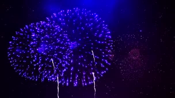 Shining Fireworks Display Explosion Bokeh Lights Night Sky Loop Animation — Stock Video