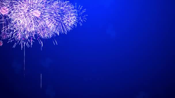 Αφηρημένη Loop Λαμπερά Πυροτεχνήματα Bokeh Φώτα Στο Νυχτερινό Ουρανό Firework — Αρχείο Βίντεο