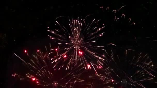 Beautiful Red Fireworks Shiny Display Explosion Smoke Black Background Loop — стокове відео