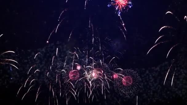 Shining Fireworks Display Exploze Bokeh Světly Noční Obloze Loop Animation — Stock video