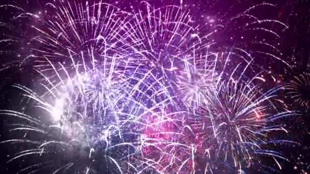 Tahun Baru Malam Pesta Kembang Api Loop Latar Belakang Kembang — Stok Video