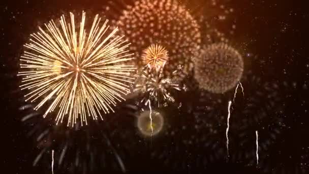 Beautiful Red Fireworks Shiny Display Explosion Smoke Black Background Loop — Stock Video