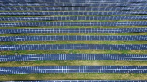 Vista aérea de una gran granja de paneles solares industriales construidos en fila — Vídeo de stock