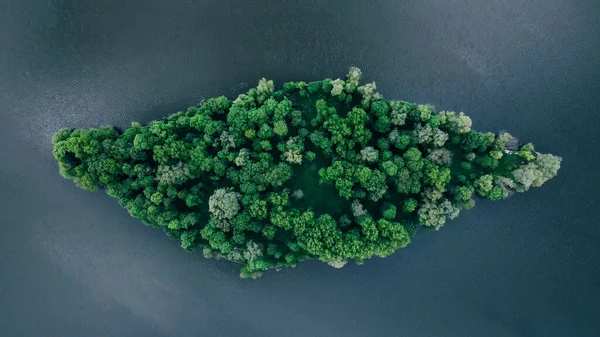 Vista superior de una isla desierta en el océano con árboles verdes y agua clara — Foto de Stock