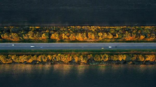 Los coches están conduciendo en una nueva carretera recta con marcas alrededor de los árboles amarillos de otoño — Foto de Stock