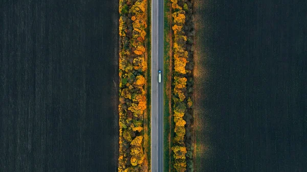 Автомобілі Їдуть Новій Прямій Дорозі Позначками Навколо Жовтих Осінніх Дерев — стокове фото