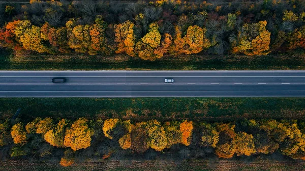 Автомобілі Їдуть Новій Прямій Дорозі Позначками Навколо Жовтих Осінніх Дерев — стокове фото