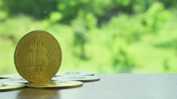 Golden Bitcoin Coin Shines Wooden Table Overlooking Nature — 图库视频影像