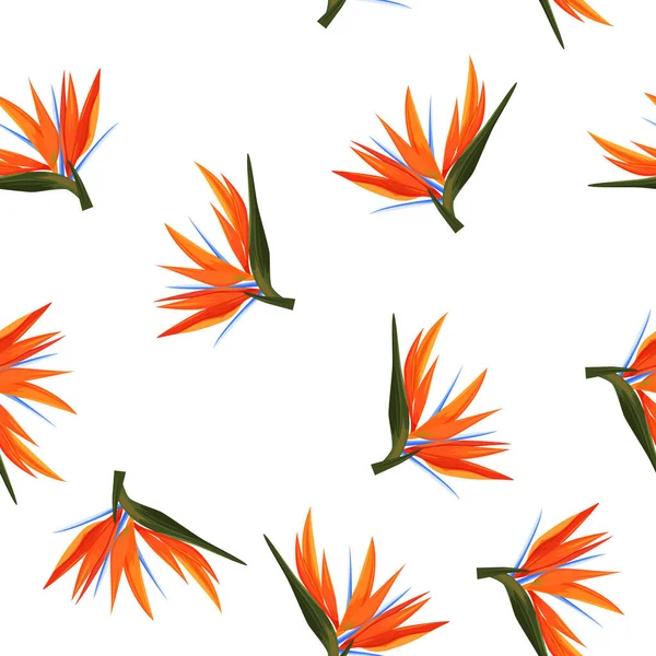 Бесшовный узор из красочных стрелицких цветов. Векторные экзотические цветы райская птица на белом фоне. — стоковый вектор