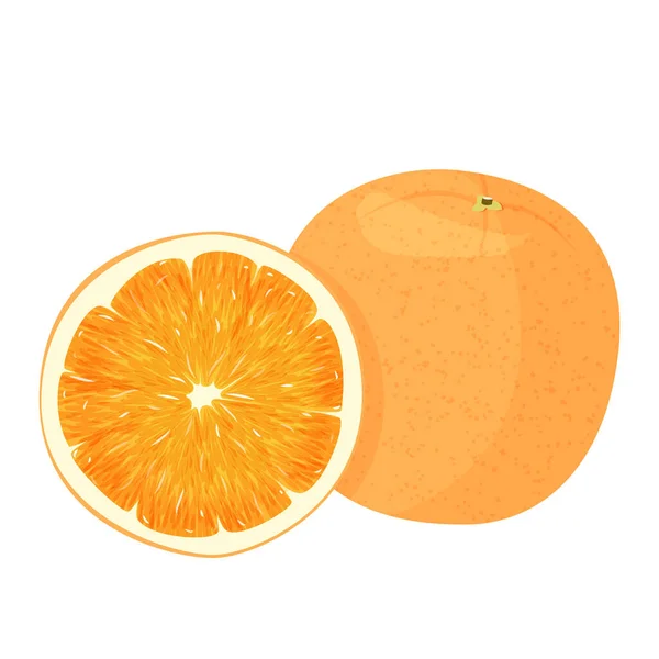 Naranja entera y rebanada de naranjas. Ilustración vectorial de naranjas aisladas sobre fondo blanco. — Vector de stock