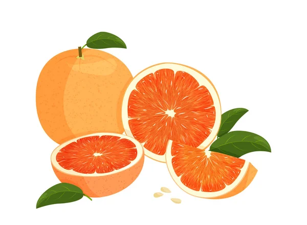 Teljes piros narancs és egy szelet narancs zöld levelekkel. A fehér alapon izolált narancs vektorillusztrációja. — Stock Vector