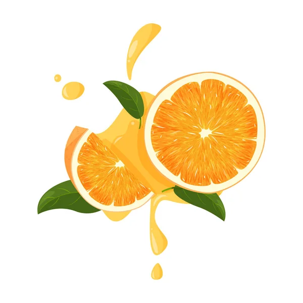 Whole orange whole and slice with green leaves and juicy splashes. Vector illustration of oranges isolated on white background. — Stock Vector