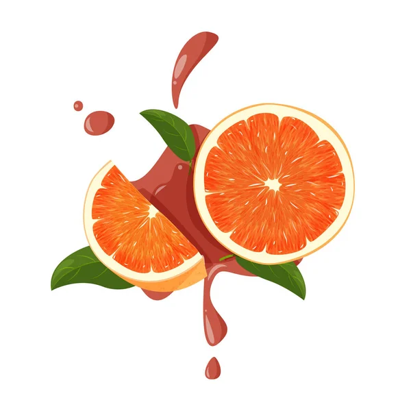 Rojo naranja entera y rebanada con hojas verdes y salpicaduras jugosas. Ilustración vectorial de naranjas aisladas sobre fondo blanco. — Archivo Imágenes Vectoriales