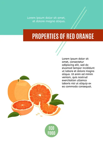 Modello di design del tema del cibo articolo. Bandiera colorata con proprietà di arancione rosso. Cibo biologico sano. — Vettoriale Stock