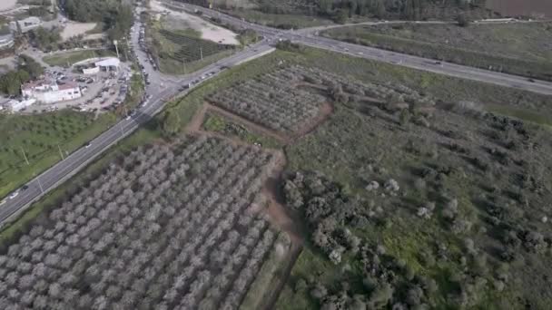 Latrun Monastery in Israel aerial view — Stock video