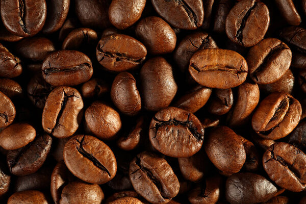 Extreme close up of freshly roasted, shiny coffee beans. Top down vew. Macro food texture background