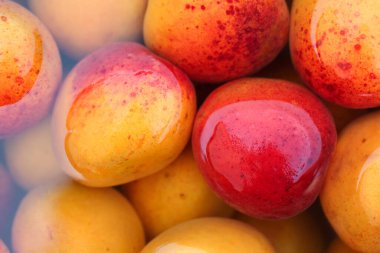Close up of nice, organic, freshly harvested apricot fruits soaked in water. Top down view