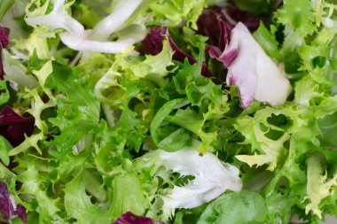Bir tabakta yeşil salata yakın çekim