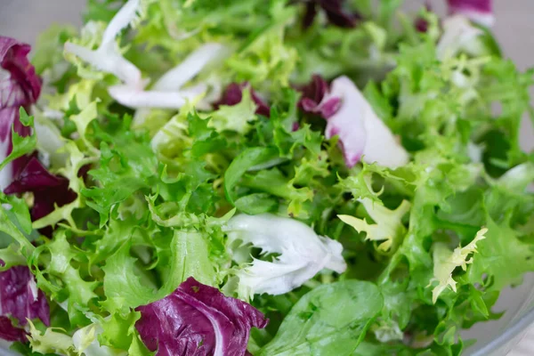 Salada Verde Com Alface Cordeiro Endívia Encaracolado Radicchio Prato — Fotografia de Stock