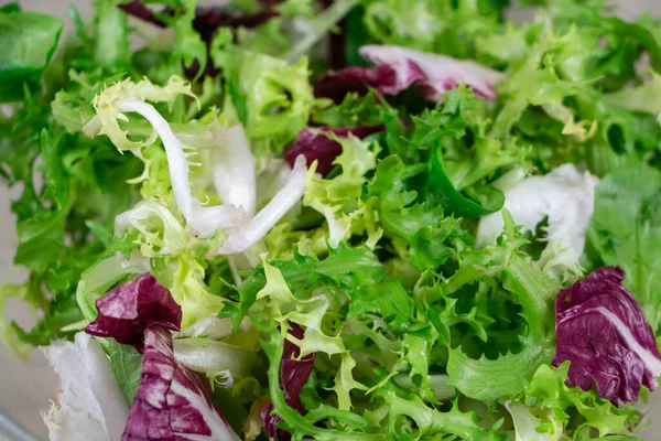 Ensalada Verde Con Lechuga Cordero Endibia Rizada Radicchio Plato —  Fotos de Stock