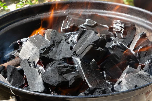 Barbecue Lit Garden Grilling Meat — Stock Photo, Image