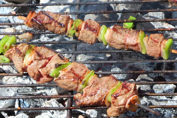 Beef Brochettes Grid Barbecue — Stock Photo, Image
