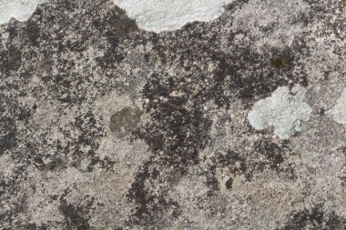 Brittany 'de buzlu Lichen