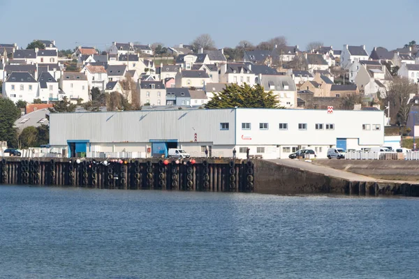 Poulgoazec França Fevereiro 2019 Mercado Porto Doca Peixe Poulgoazec — Fotografia de Stock