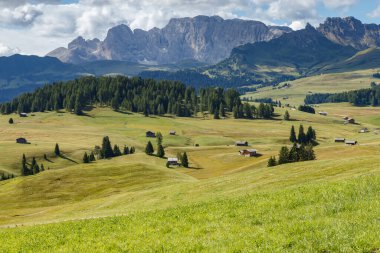 Dolomite İtalya 'sındaki Sassalungo Dağı manzaralı Alpe di Siusi.