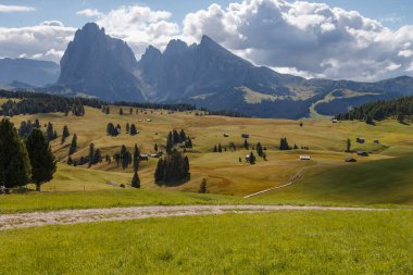 Dolomite İtalya 'sındaki Sassalungo Dağı manzaralı Alpe di Siusi.