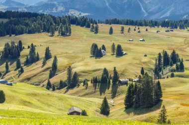Dolomite İtalya 'sındaki Sassalungo Dağı manzaralı Alpe di Siusi.
