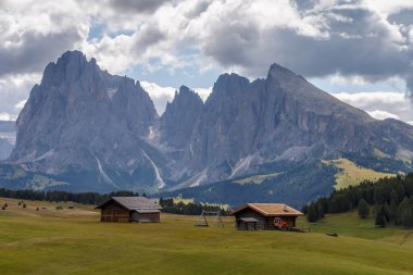 Dolomite İtalya 'sındaki Sassalungo Dağı manzaralı Alpe di Siusi.