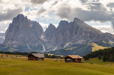 Dolomite İtalya 'sındaki Sassalungo Dağı manzaralı Alpe di Siusi.