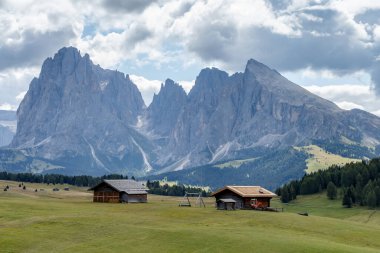 Dolomite İtalya 'sındaki Sassalungo Dağı manzaralı Alpe di Siusi.