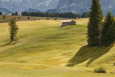 Dolomite İtalya 'sındaki Sassalungo Dağı manzaralı Alpe di Siusi.