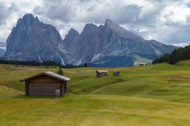 Dolomite İtalya 'sındaki Sassalungo Dağı manzaralı Alpe di Siusi.
