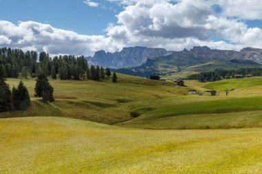 Dolomite İtalya 'sındaki Sassalungo Dağı manzaralı Alpe di Siusi.