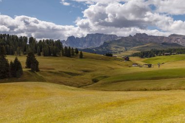 Dolomite İtalya 'sındaki Sassalungo Dağı manzaralı Alpe di Siusi.