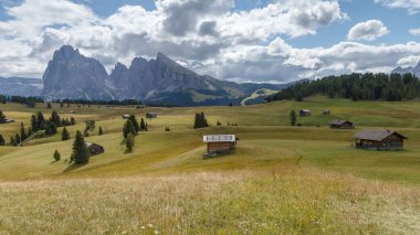 Dolomite İtalya 'sındaki Sassalungo Dağı manzaralı Alpe di Siusi.