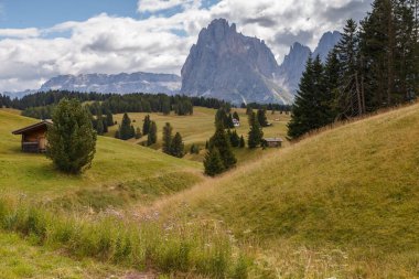 Dolomite İtalya 'sındaki Sassalungo Dağı manzaralı Alpe di Siusi.