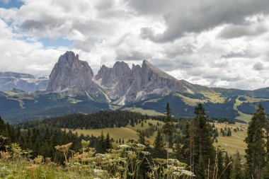 Dolomite İtalya 'sındaki Sassalungo Dağı manzaralı Alpe di Siusi.