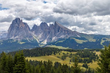 Dolomite İtalya 'sındaki Sassalungo Dağı manzaralı Alpe di Siusi.