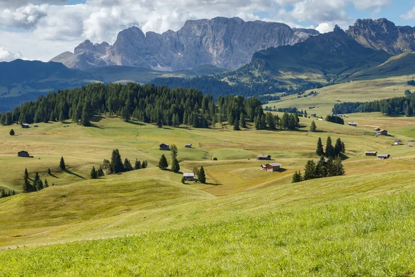 Alpe Siusi Con Vistas Montaña Sassalungo Italia Dolomita Imagen De Stock