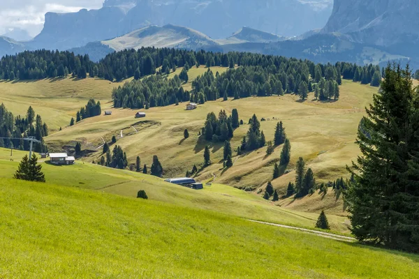 Alpe Siusi Dengan Pemandangan Gunung Sassalungo Dolomites Italia Stok Gambar Bebas Royalti